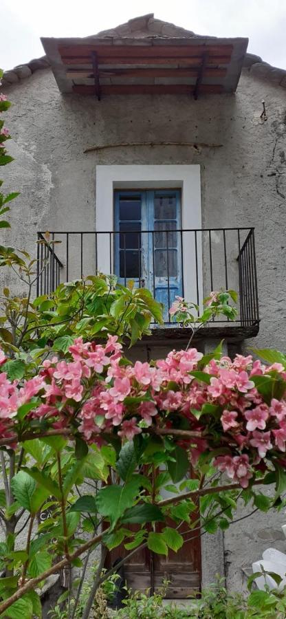 Villa Ca Betulla à Novate Mezzola Extérieur photo