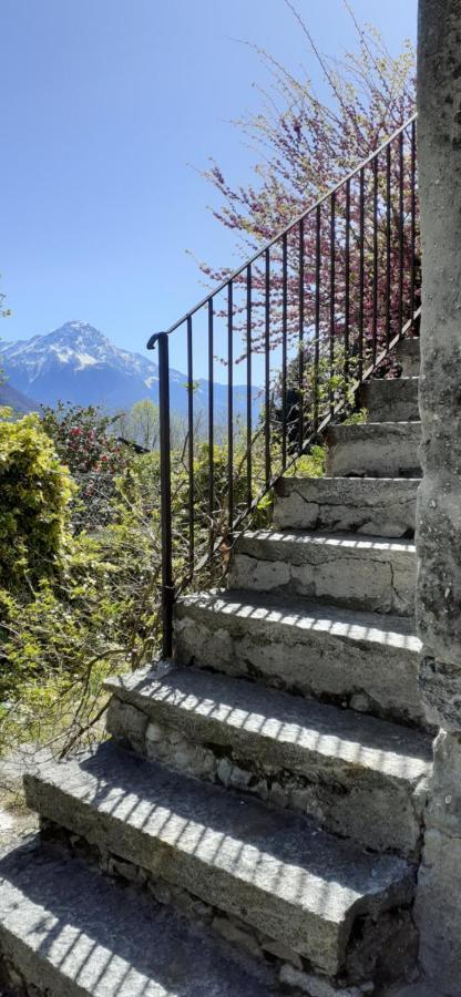 Villa Ca Betulla à Novate Mezzola Extérieur photo