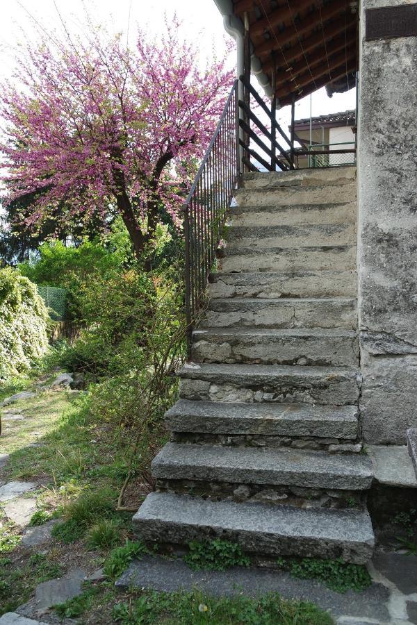 Villa Ca Betulla à Novate Mezzola Extérieur photo