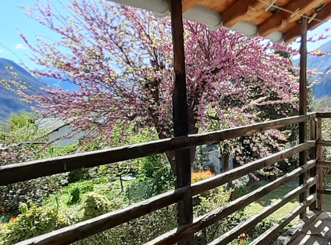 Villa Ca Betulla à Novate Mezzola Extérieur photo