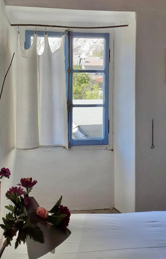 Villa Ca Betulla à Novate Mezzola Extérieur photo
